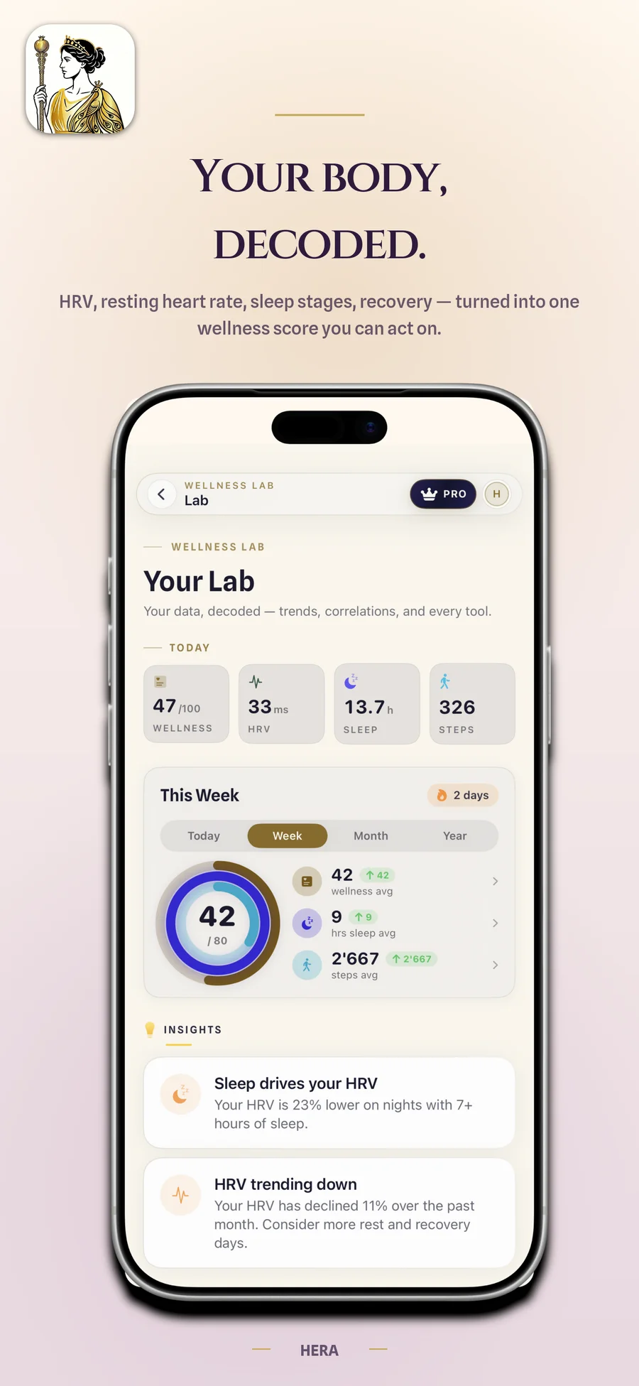The Lab — your data, decoded.