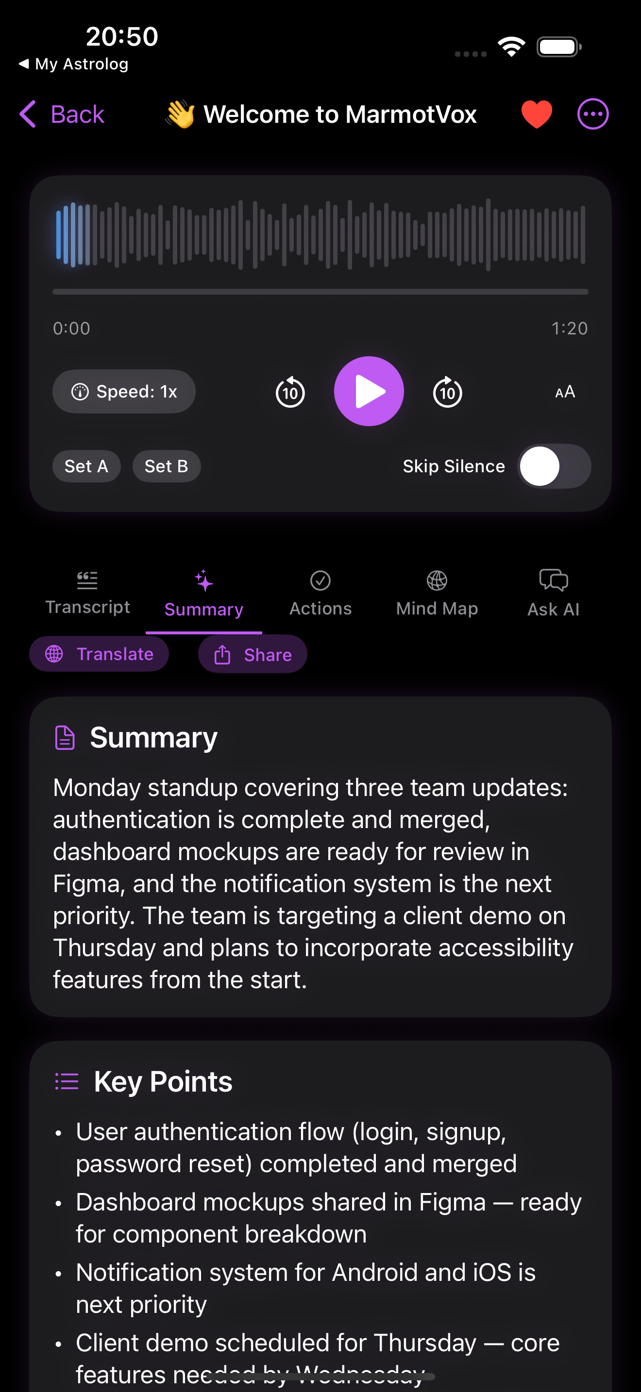 MarmotVox AI Summary